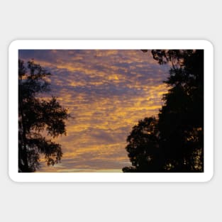 South Carolina Sunset Sticker